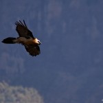 Ethiopia  011