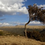 Ethiopia  014