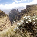 Ethiopia  019