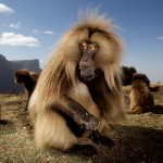 Ethiopia  030