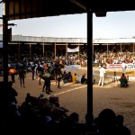Niger  017