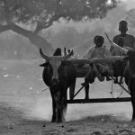 Niger  028
