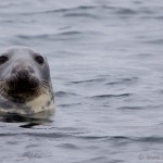 Knoydart 006