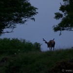 Knoydart 009
