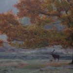 Red Deer 005