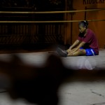 Boxers  012