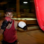 Boxers  013